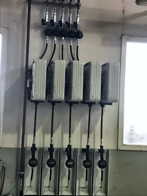 Beşli yağ makarası grubu